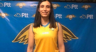 Sigorta Shop'a tecrübeli orta oyuncu